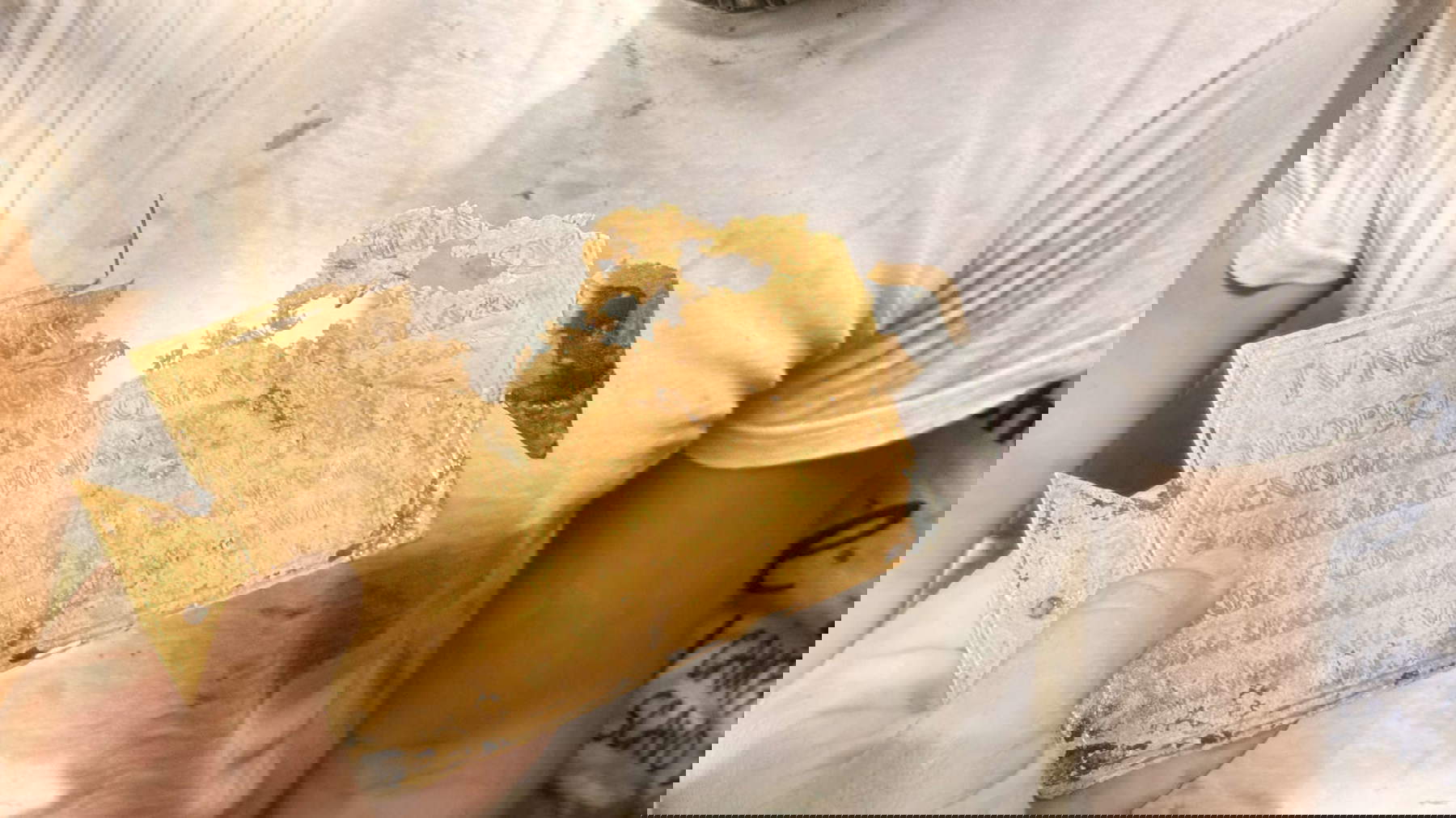 Feuille d'or. Photo : Commune de San Casciano dei Bagni / Ludovico Salerno