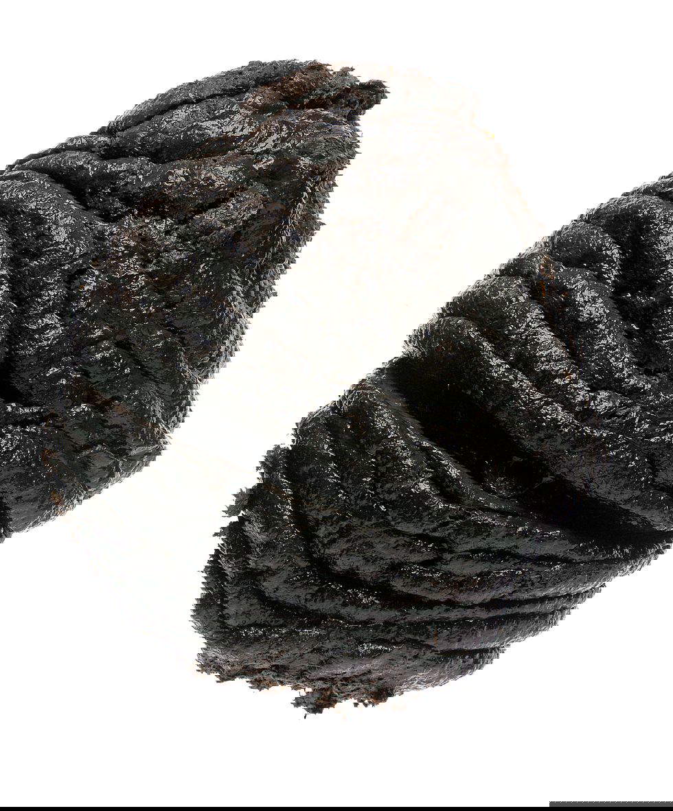 Oliviero Toscani, Cow Poop (1998) Oliviero Toscani, Cow Poop (1998)