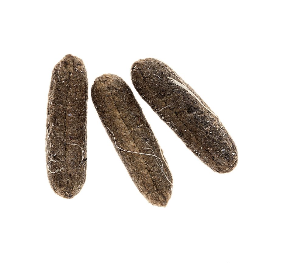 Oliviero Toscani, Caca de cochon d'Inde (1998) Oliviero Toscani, Caca de cochon d'Inde (1998)