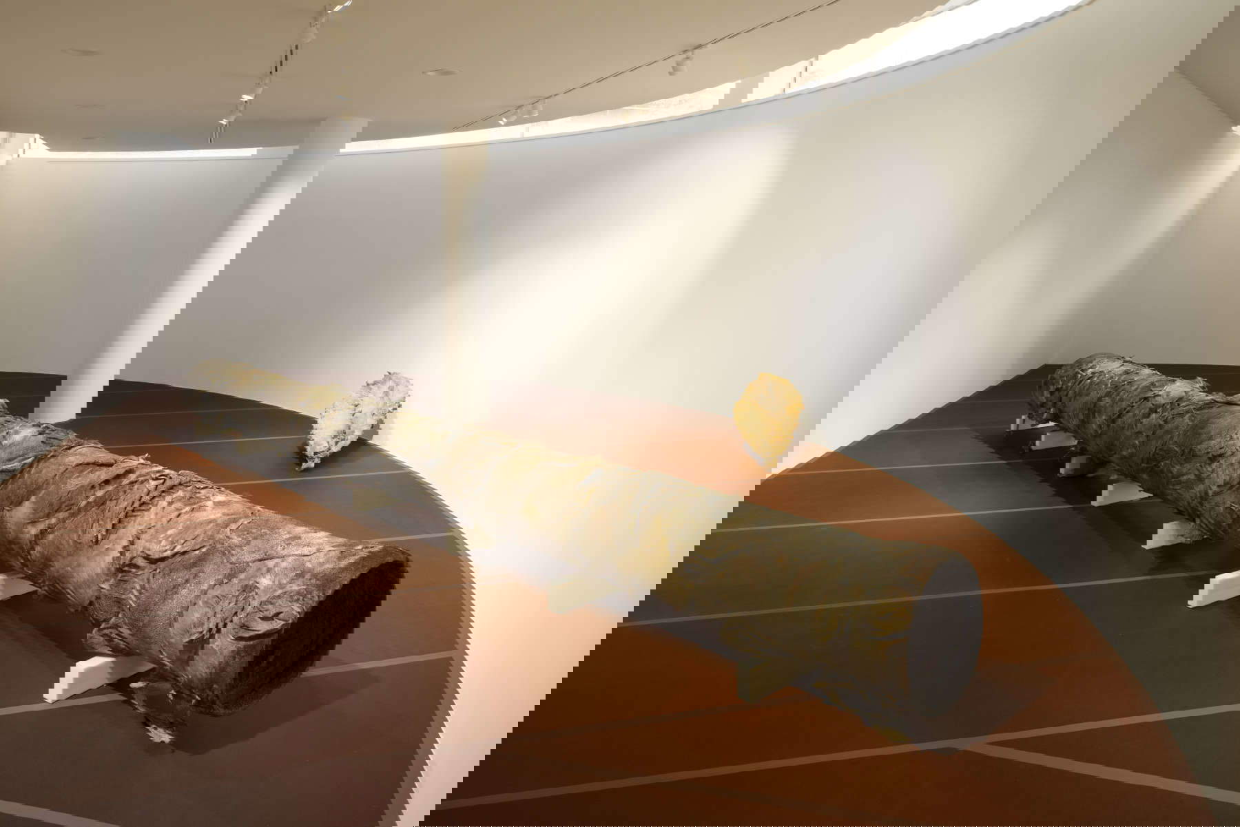 Aufbau der Ausstellung. Foto: Andrea Rossetti Aufbau der Ausstellung. Foto: Andrea Rossetti