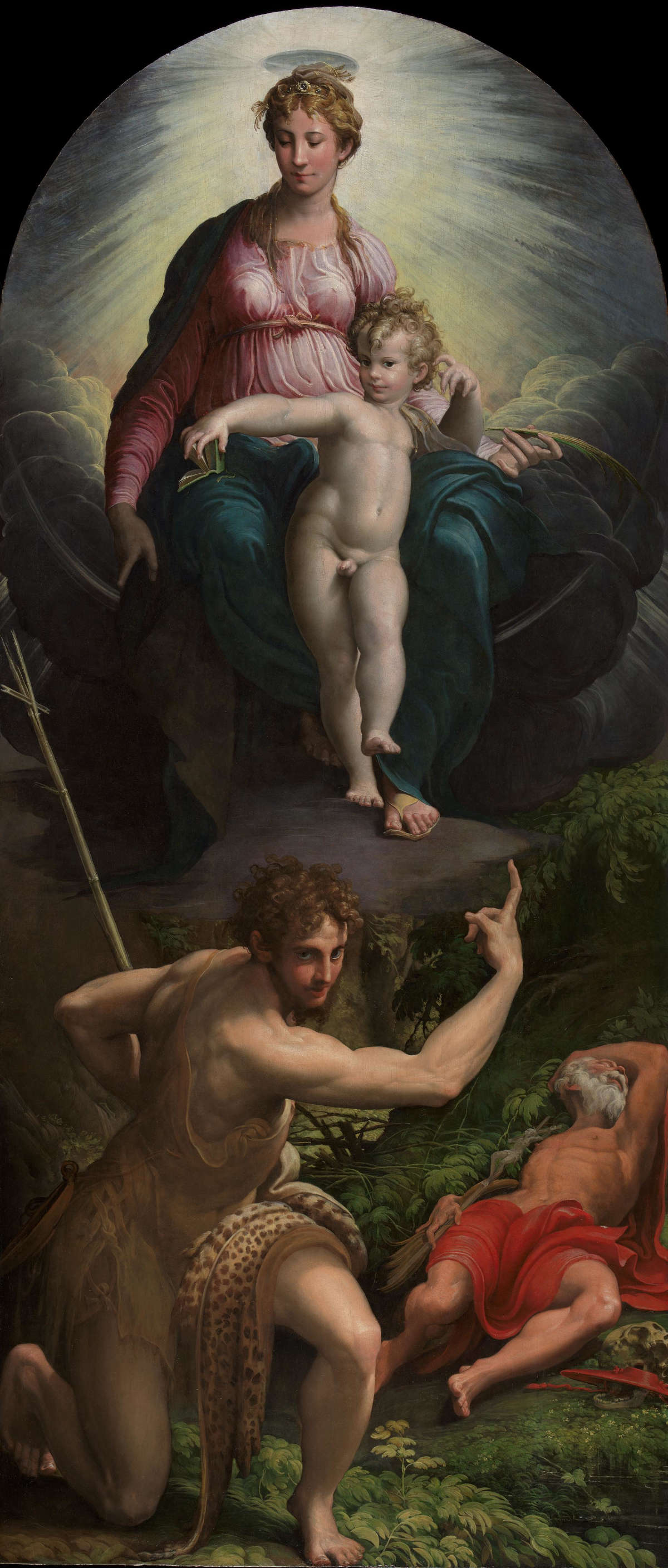 Parmigianino, Madonna con Bambino e santi - Visione di san Girolamo (1526-1527; olio su tavola di pioppo, 342,9 x 148,6 cm; Londra, National Gallery, inv. NG33) Parmigianino, Madonna con Bambino e santi - Visione di san Girolamo (1526-1527; olio su tavola di pioppo, 342,9 x 148,6 cm; Londra, National Gallery, inv. NG33)