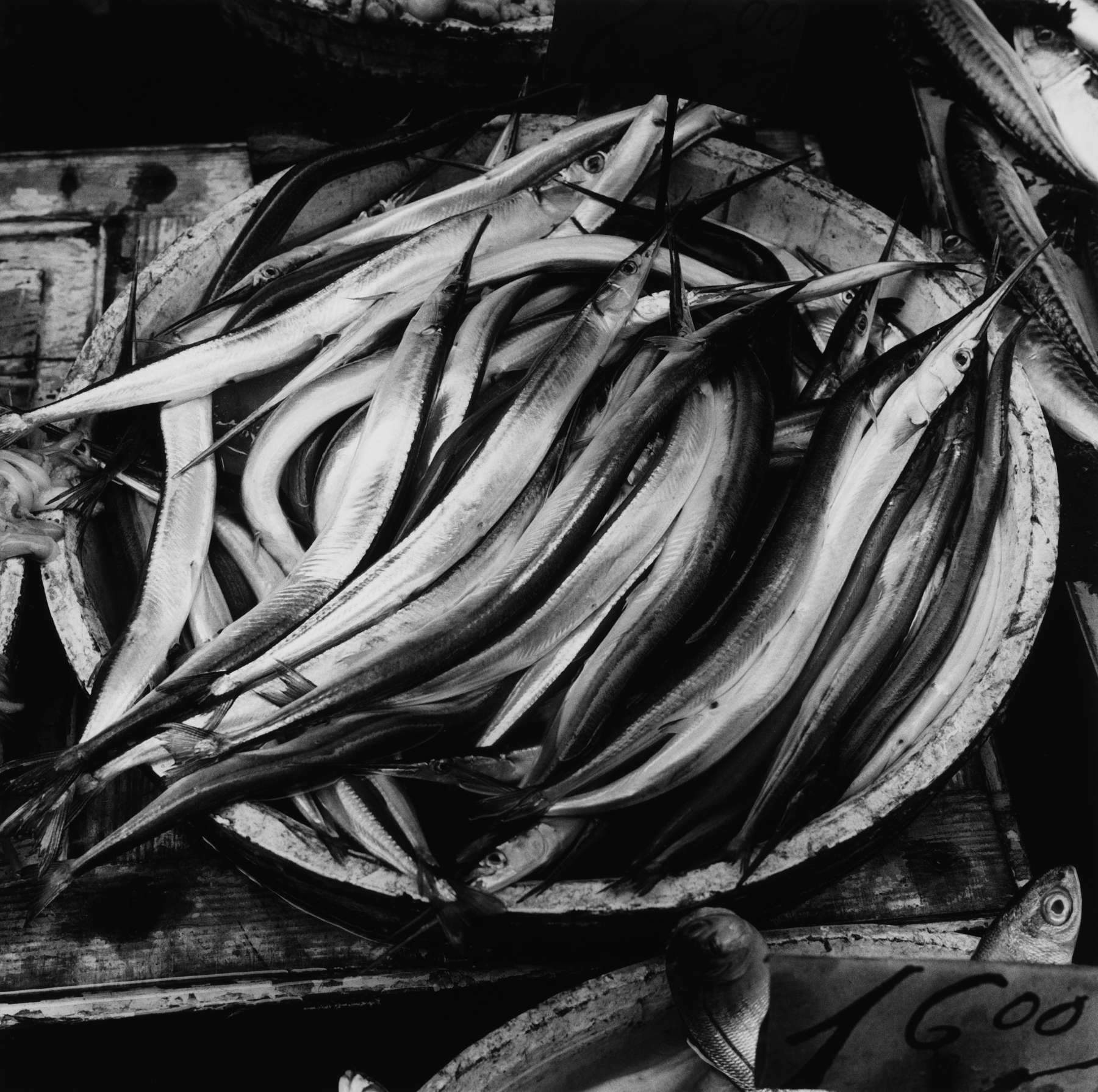 Peter Hujar, Homage to Lilo Raymond (Naples Fish), 1978 © The Peter Hujar Archive/Artists Rights Society (Ars), Ny Peter Hujar, Homage to Lilo Raymond (Naples Fish), 1978 © The Peter Hujar Archive/Artists Rights Society (Ars), Ny