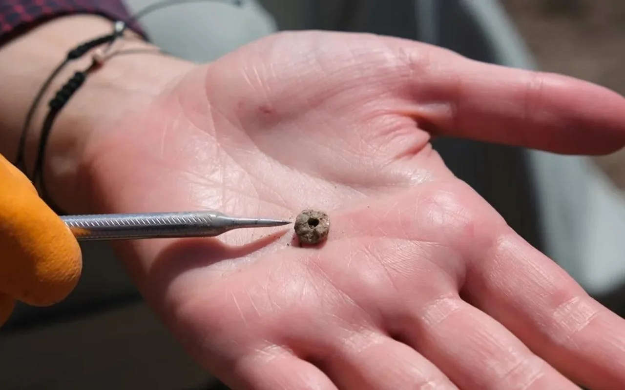 Piercing preistorici. Foto: Universit&agrave; di Ankara