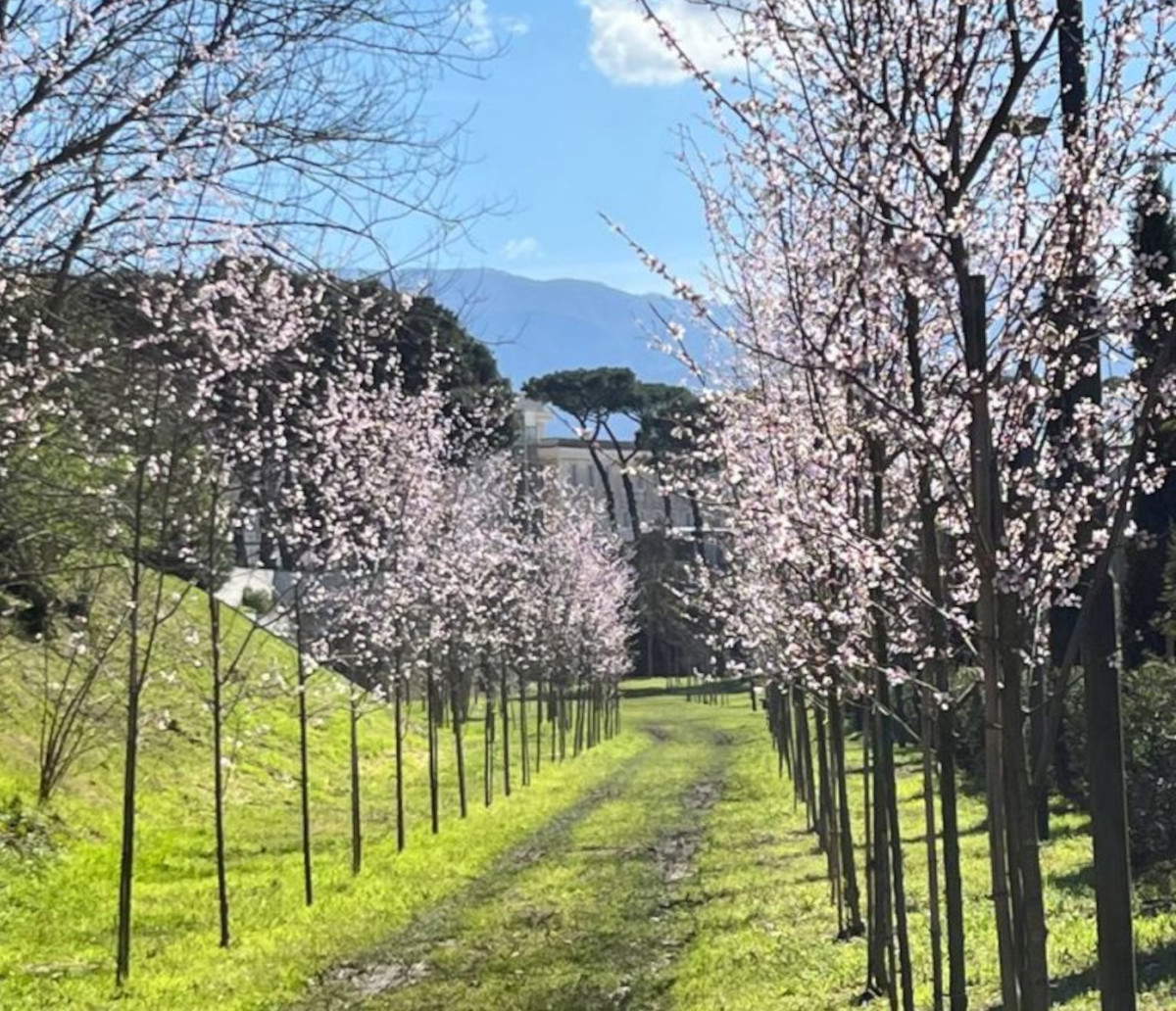 Il Parco Archeologico di Pompei apre il percorso verde fuori le mura, inclusivo e accessibile a tutti 