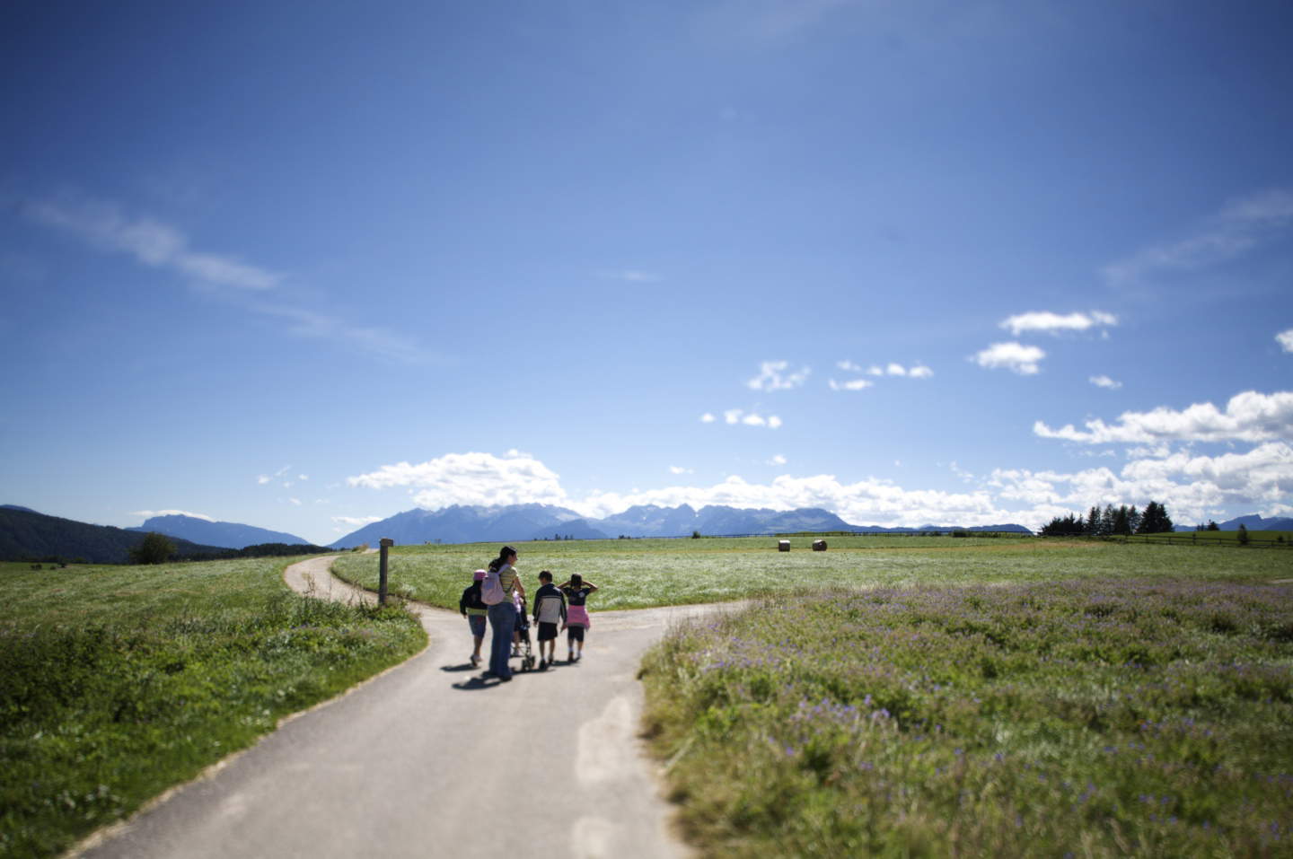 Val di Non, 10 lugares para sumergirse en sus matices