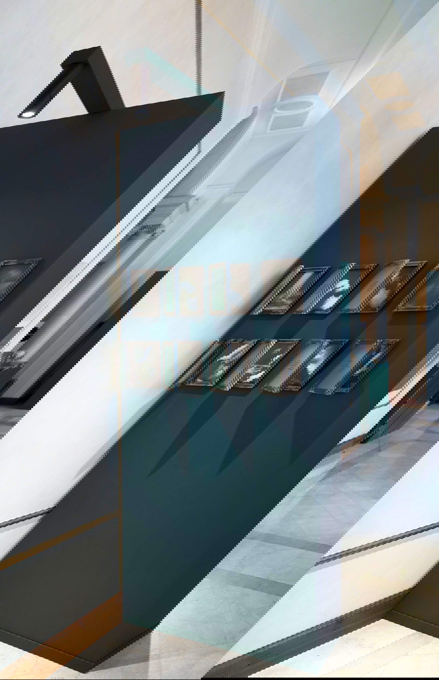 Allestimenti della mostra