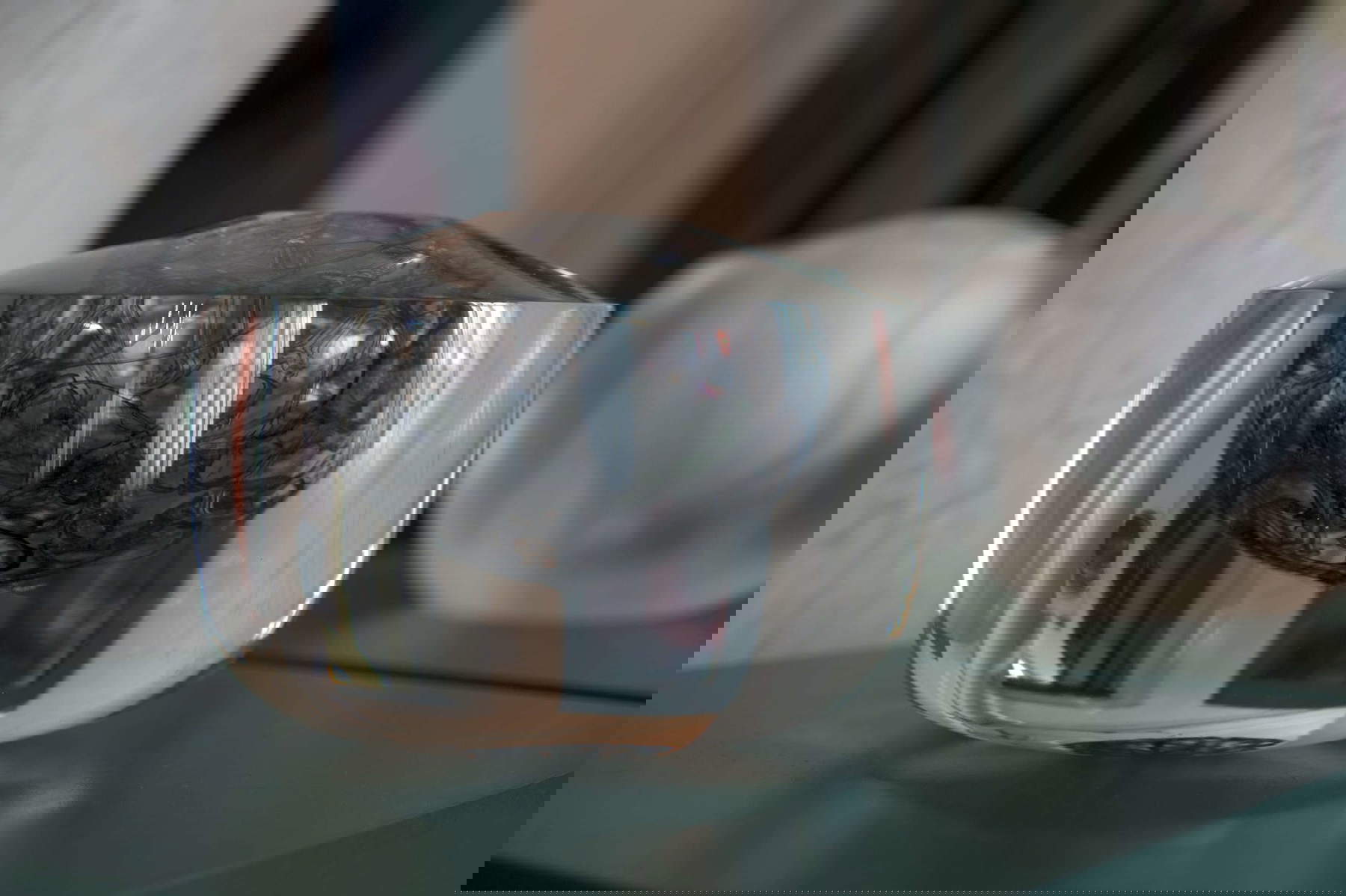 Allestimenti della mostra