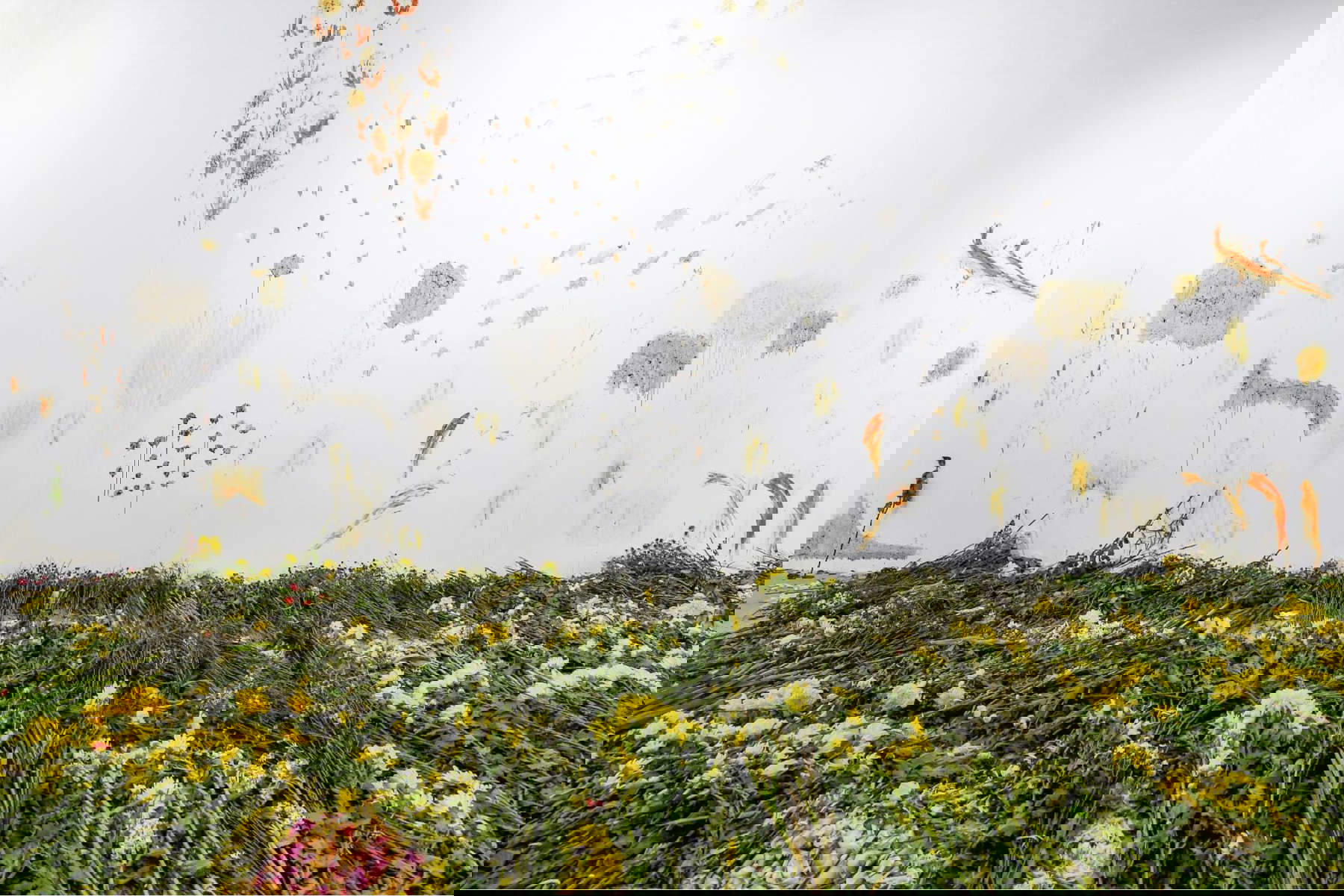 Quỳnh L&acirc;m, History of Colour (installation spécifique au site, sous la direction de Mizuki Endo). Vue de l'installation au Centre d'art contemporain Vincom, Hanoi, Vietnam 2019