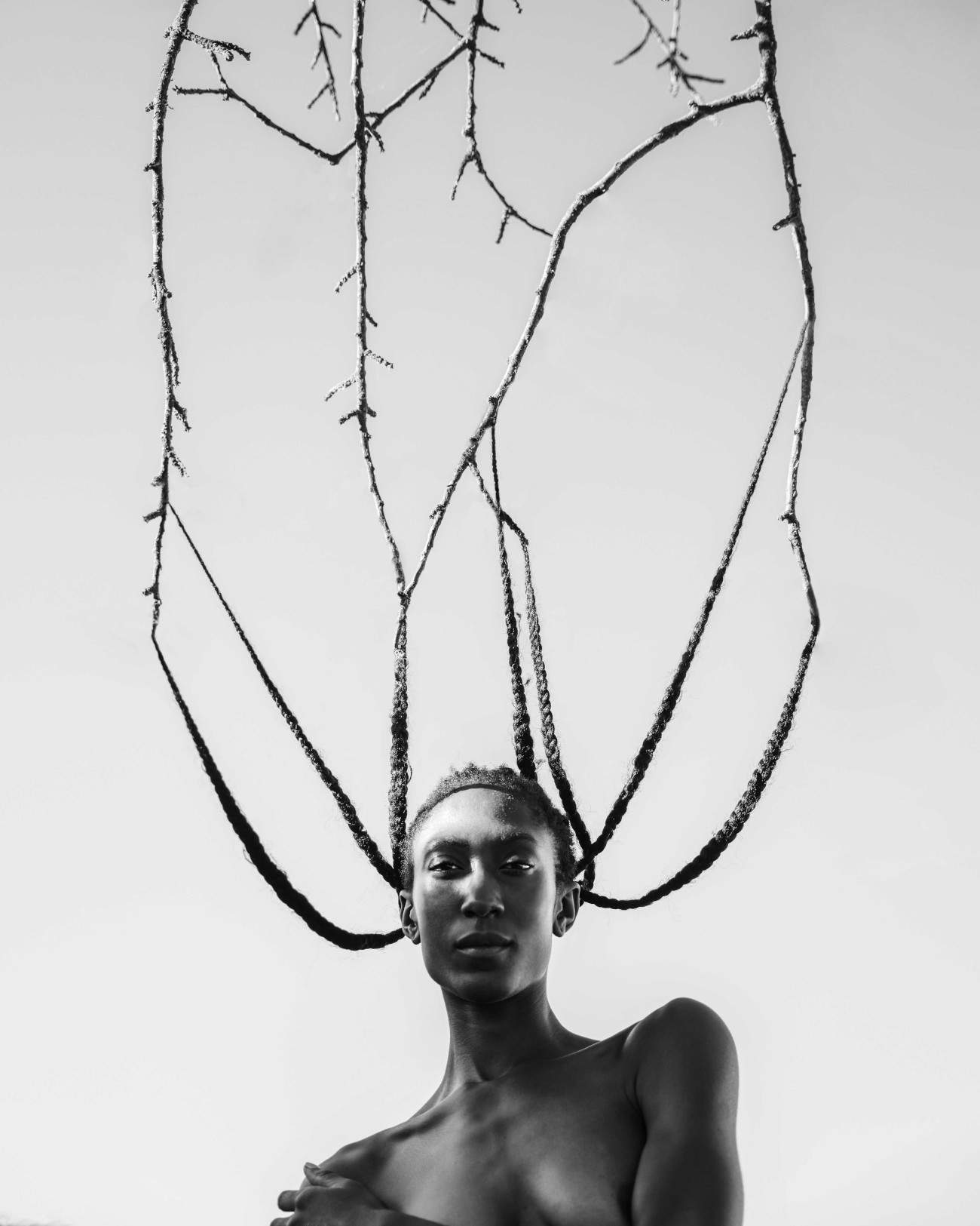 Angelica Cantù Rajnoldi, Intrecci (luglio 2022, 70 cm x 50 cm, fotografia digitale) © Angelica Cantù Rajnoldi