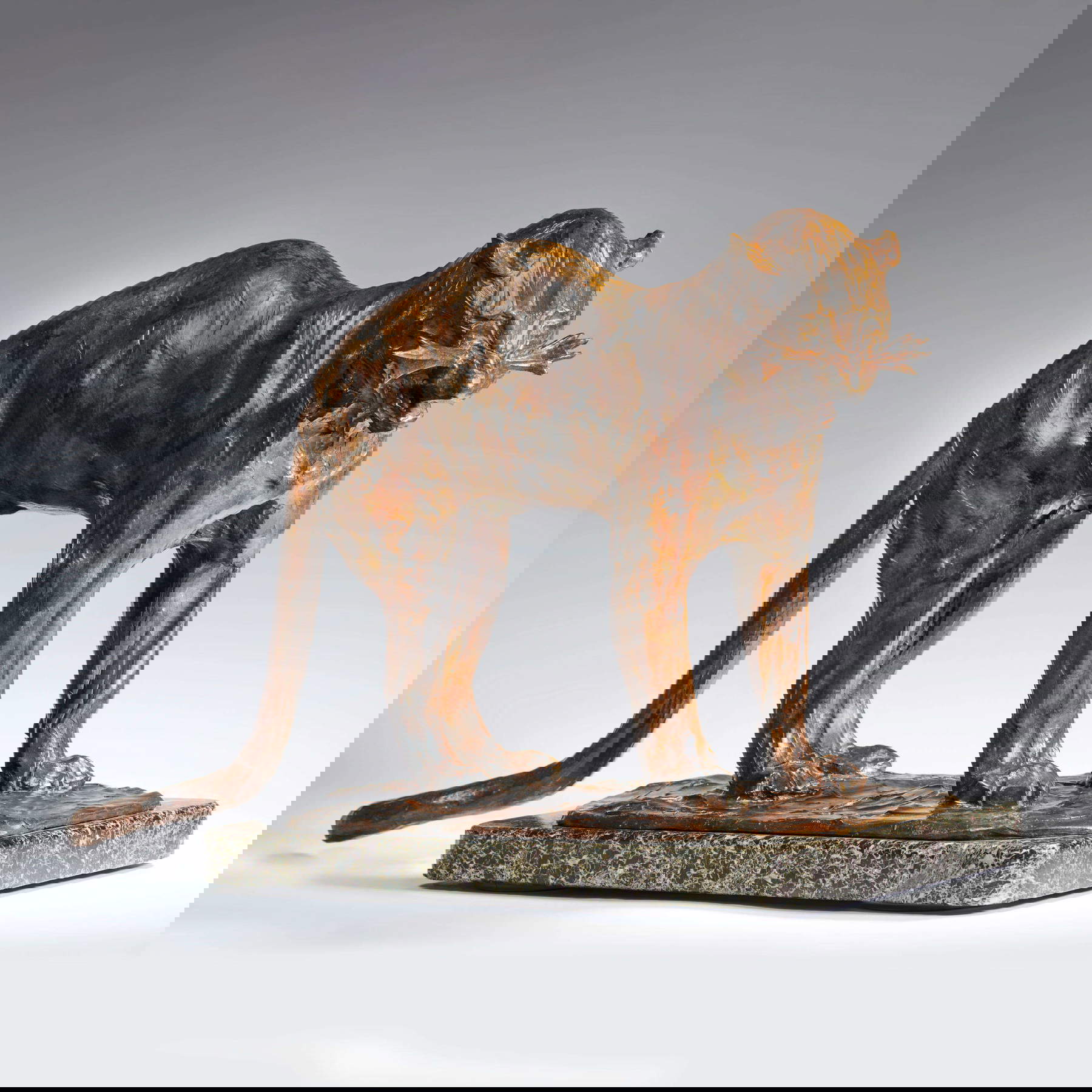 Rembrandt Bugatti, Panth&egrave;re grognant et feulant (c. 1907; bronze, 34 x 61 x 23 cm)