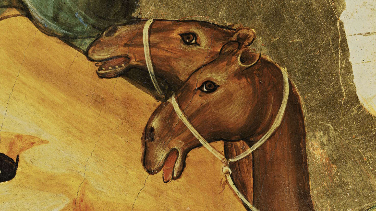 Detalle adquirido con un microscopio digital 3D Hirox de la tabla con la Natividad y la Adoración de los Magos del políptico Santa Chiara de Paolo Veneziano. ©MIC - Galerías de la Academia de Venecia Detalle adquirido con un microscopio digital 3D Hirox de la tabla con la Natividad y la Adoración de los Magos del políptico Santa Chiara de Paolo Veneziano. ©MIC - Galerías de la Academia de Venecia