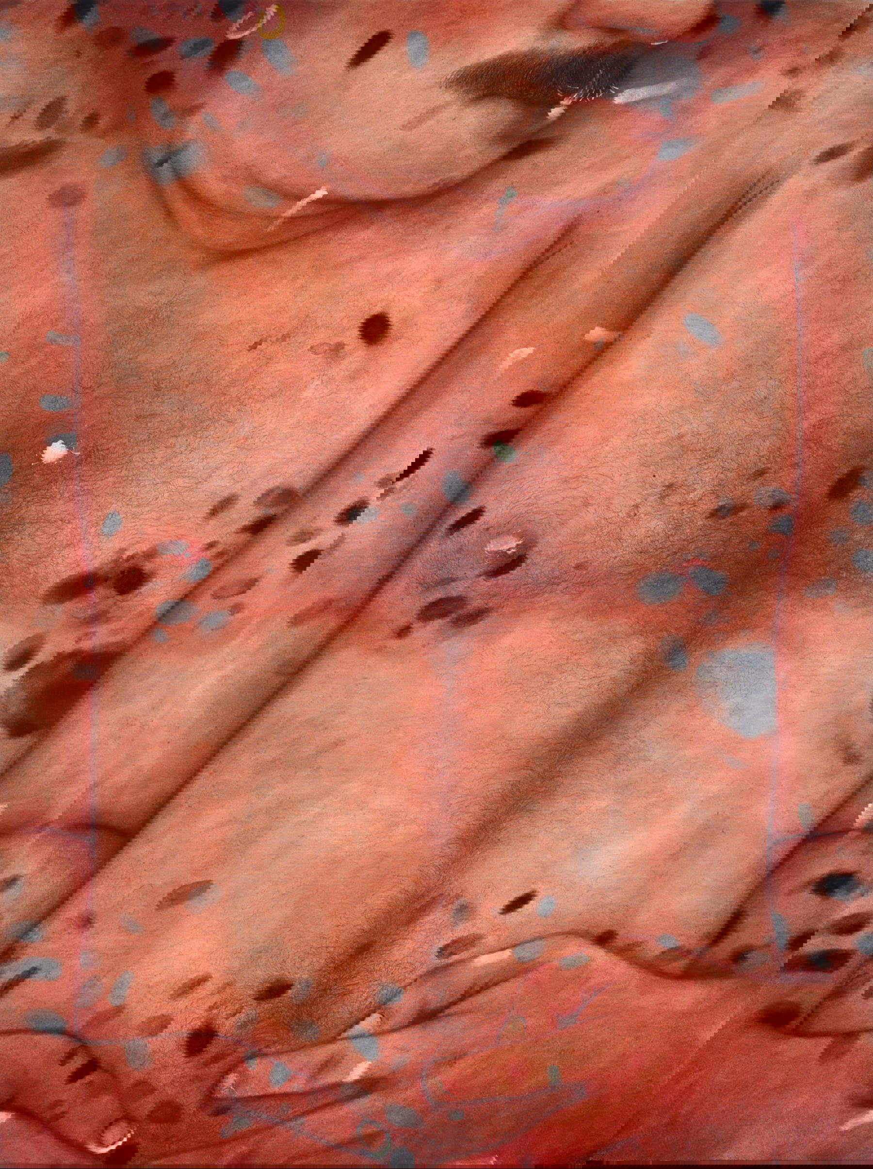 Roberto De Pinto, More times touched (2024; encaustic, pastels, charcoal and oil on canvas, 180 x 135 cm) Roberto De Pinto, More times touched (2024; encaustic, pastels, charcoal and oil on canvas, 180 x 135 cm)