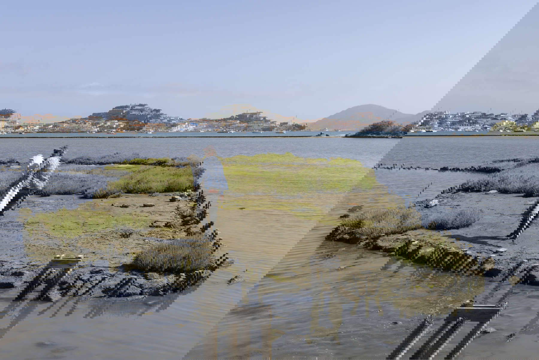 Roberto Ghezzi, Anadyomene. Photo : Roberto Ridi Roberto Ghezzi, Anadyomene. Photo : Roberto Ridi