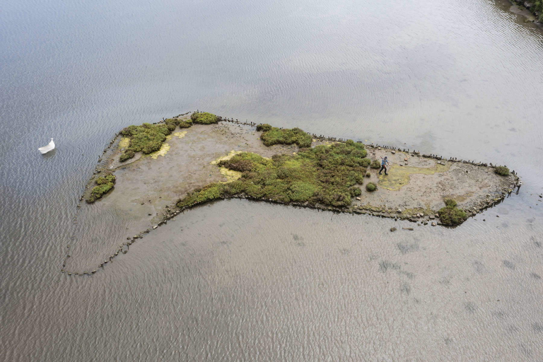 Roberto Ghezzi apporte ses interventions paysagères à l'île d'Elbe