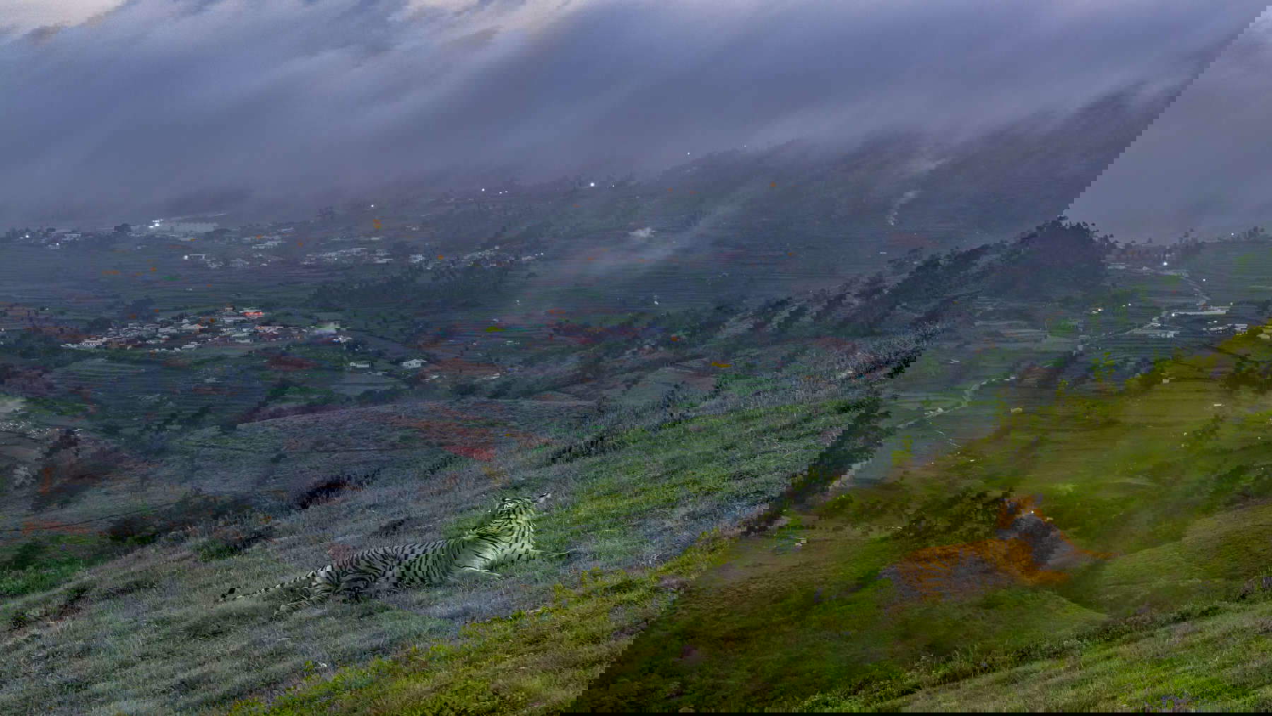 Robin Darius Conz (Germania), Una tigre in citt&agrave;, Vincitore categoria Fauna selvatica urbana / Wildlife Photographer of the Year