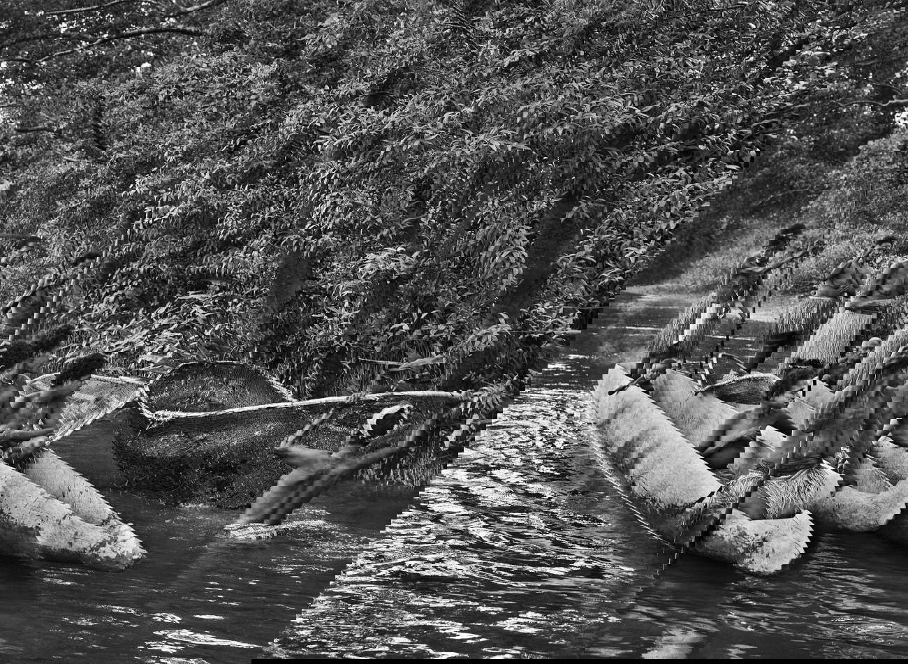 Papouasie occidentale, Indonésie, 2010 ©Sebastião Salgado