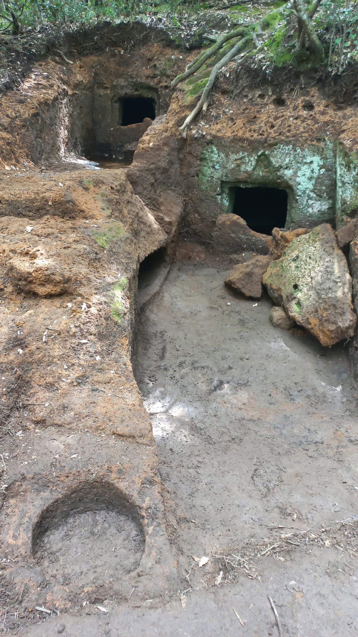 Entdeckung eines etruskischen Grabes in Sovana Entdeckung eines etruskischen Grabes in Sovana