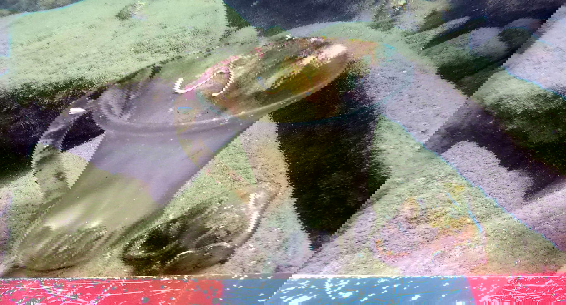 The discovery of glass in Bulgaria