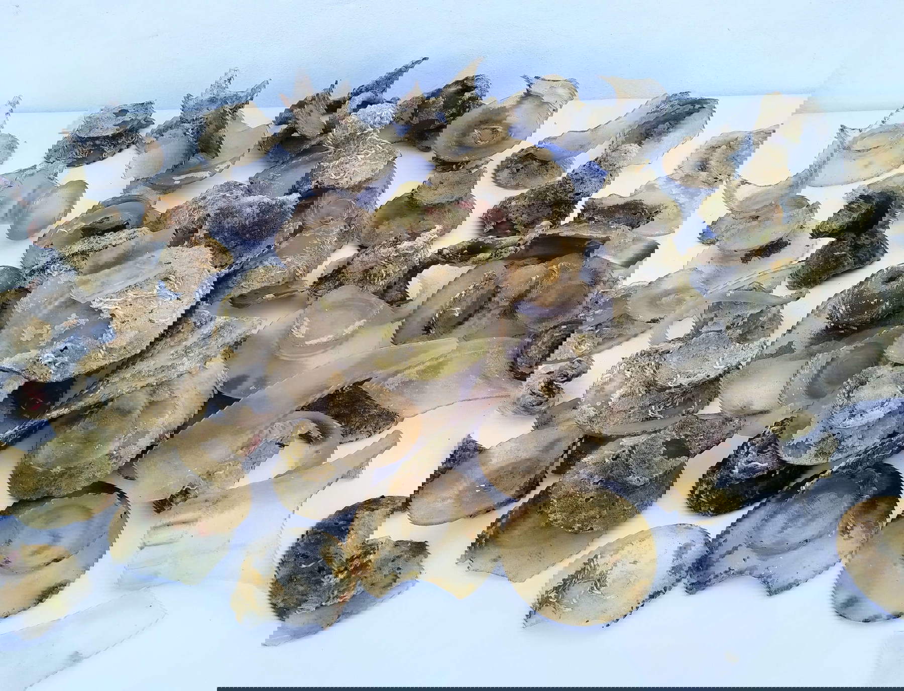 The objects discovered