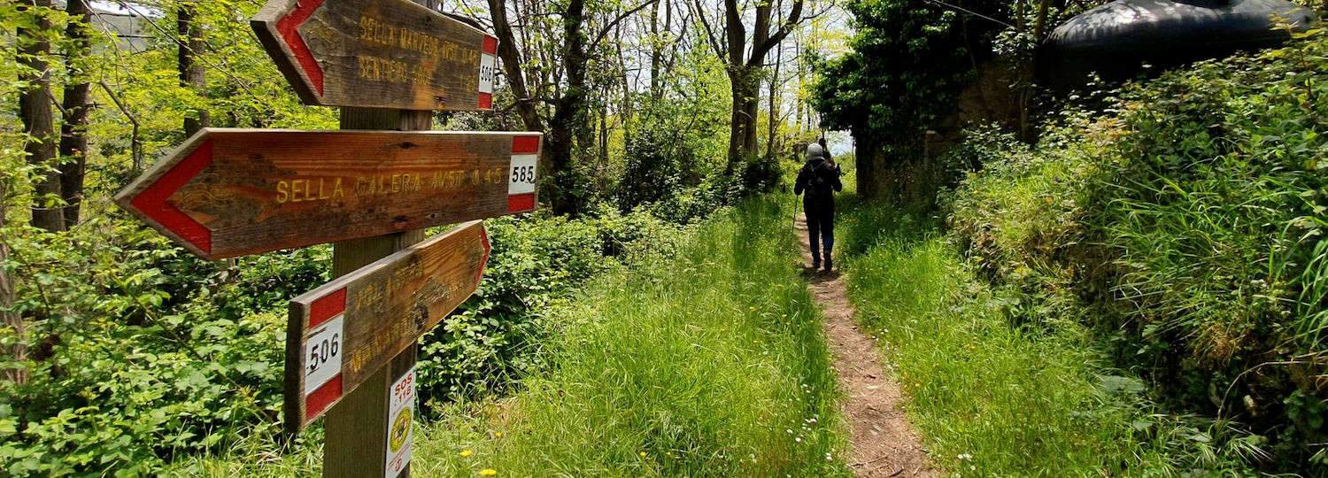 Too many tourists, one-way in the Cinque Terre trail goes into effect