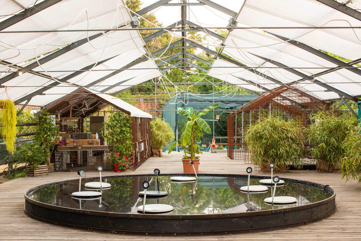 Serra Madre Serra Madre