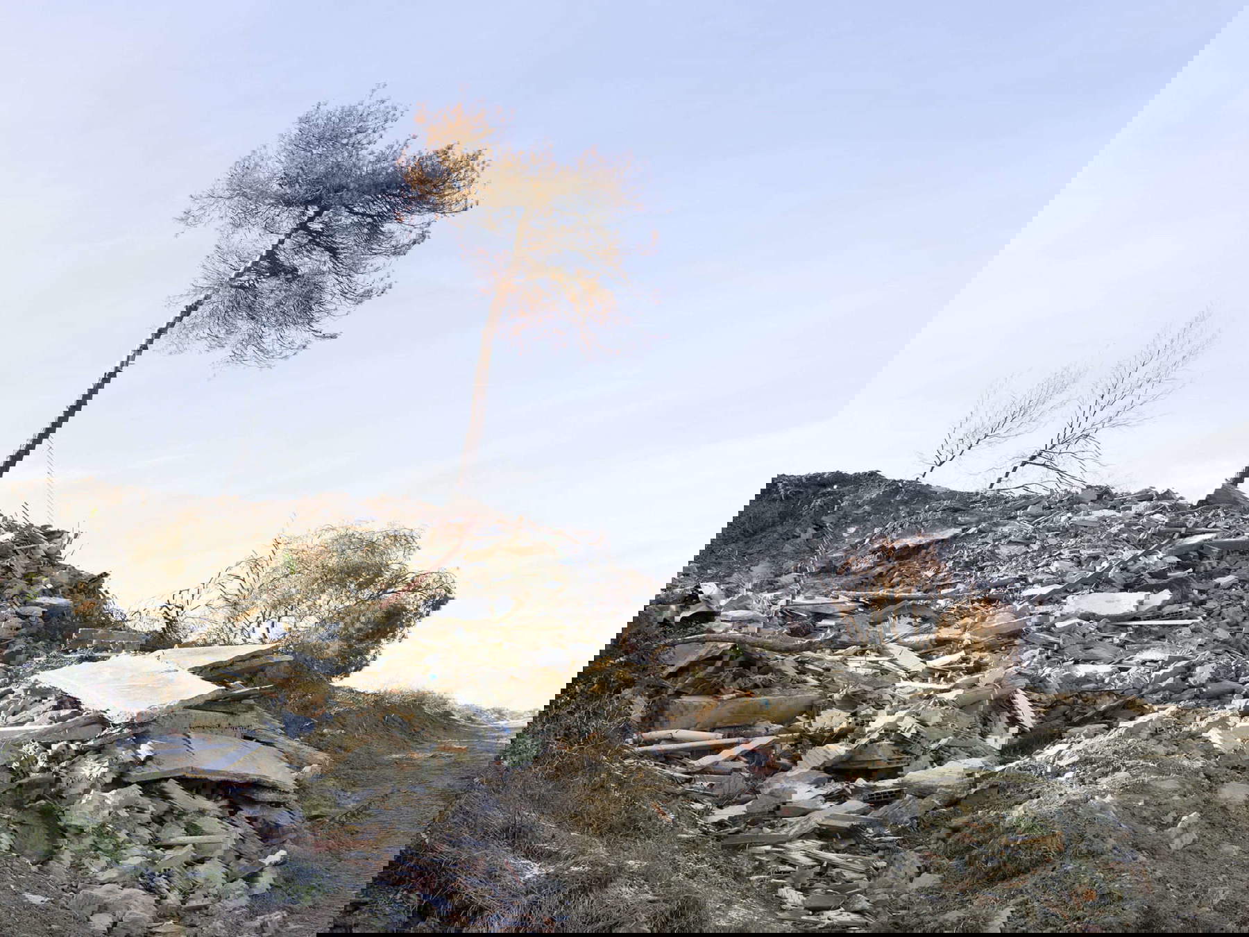 Silvia Camporesi, Zusammengestürztes Haus, Dovadola 2024