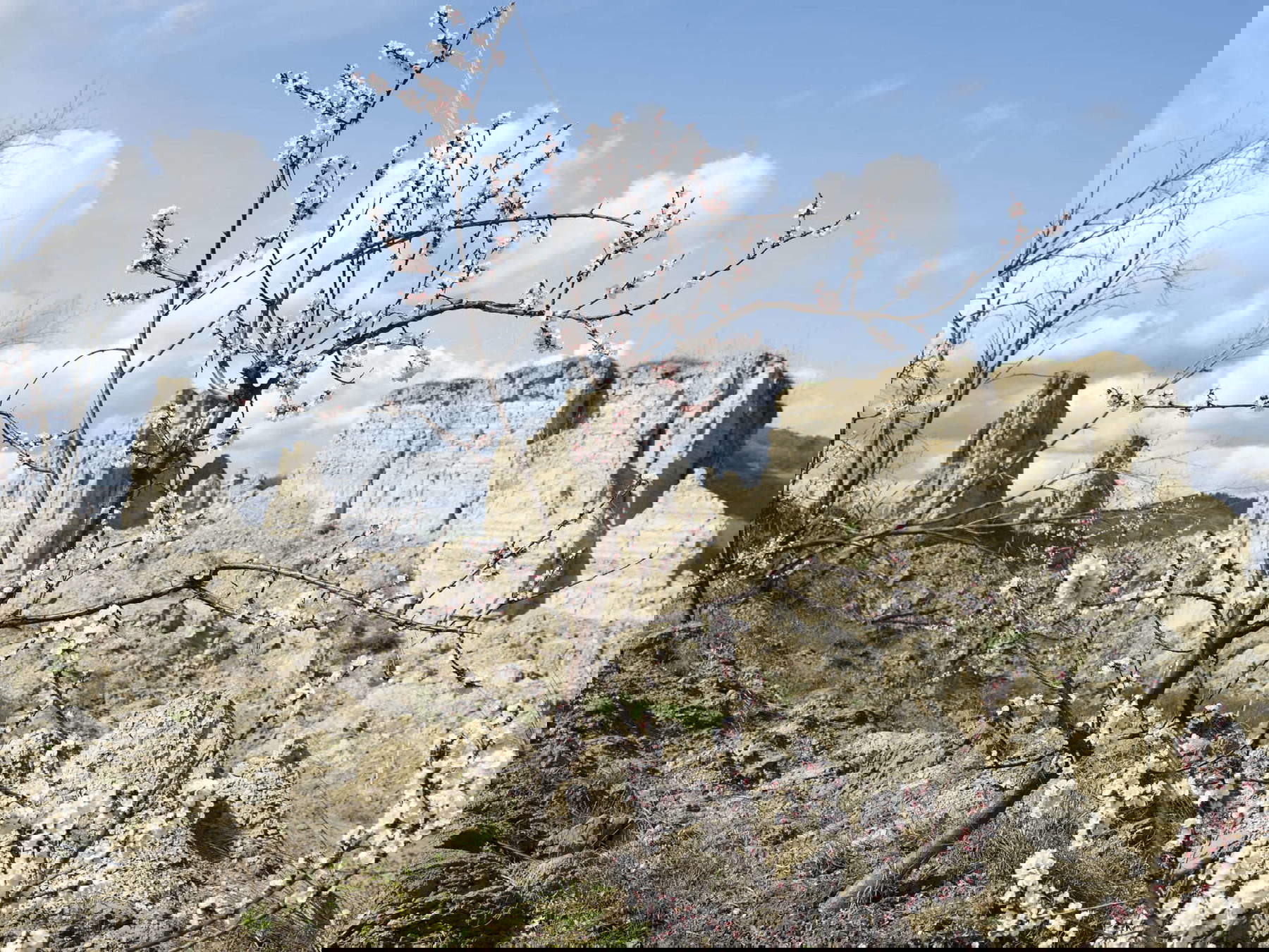 Silvia Camporesi, Erdrutsch Pescheto, Brisighella 2024