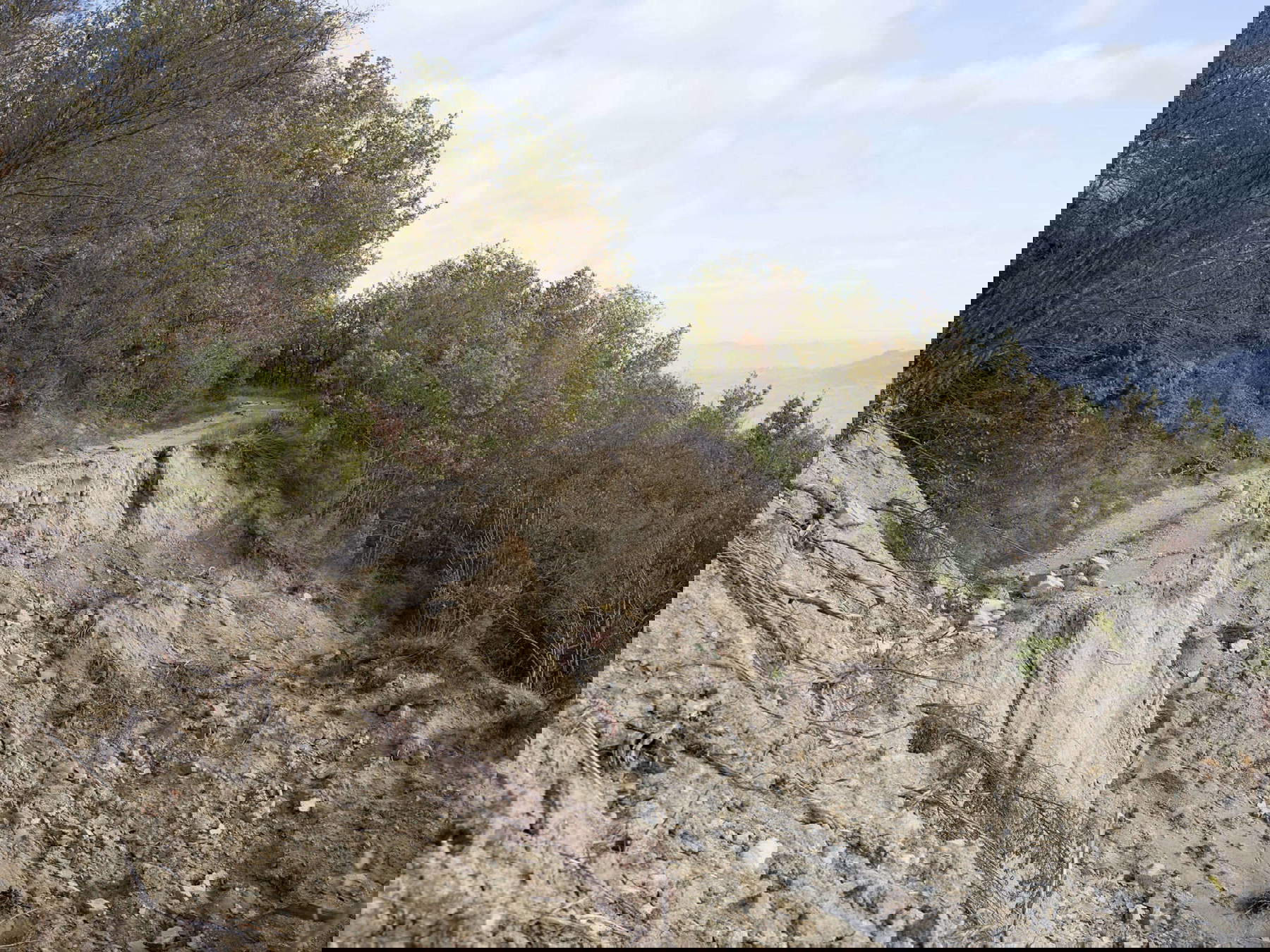 Silvia Camporesi, Strada interrotta, Romagna 2024