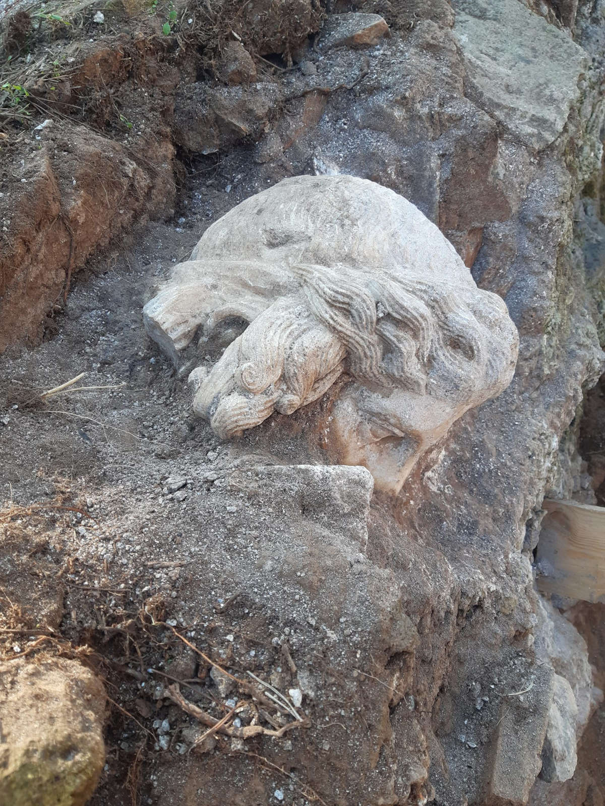 The newly uncovered head. Photo by Santino Alessandro Cugno The newly uncovered head. Photo by Santino Alessandro Cugno