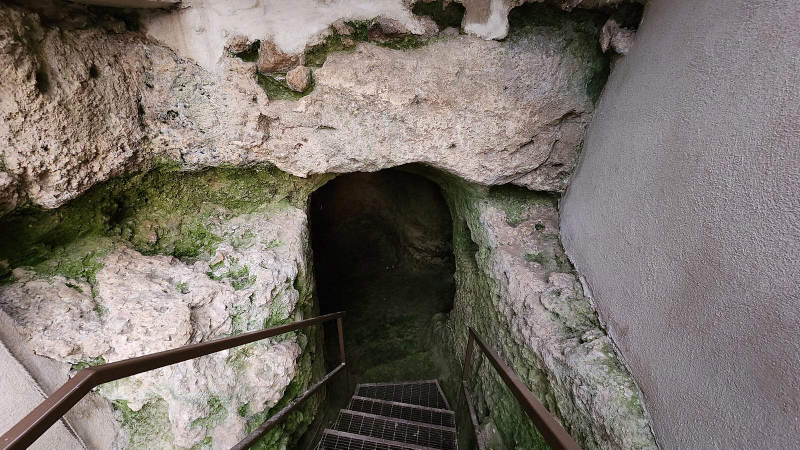 La tumba etrusca de Bibbona, descubierta en 2018 La tumba etrusca de Bibbona, descubierta en 2018