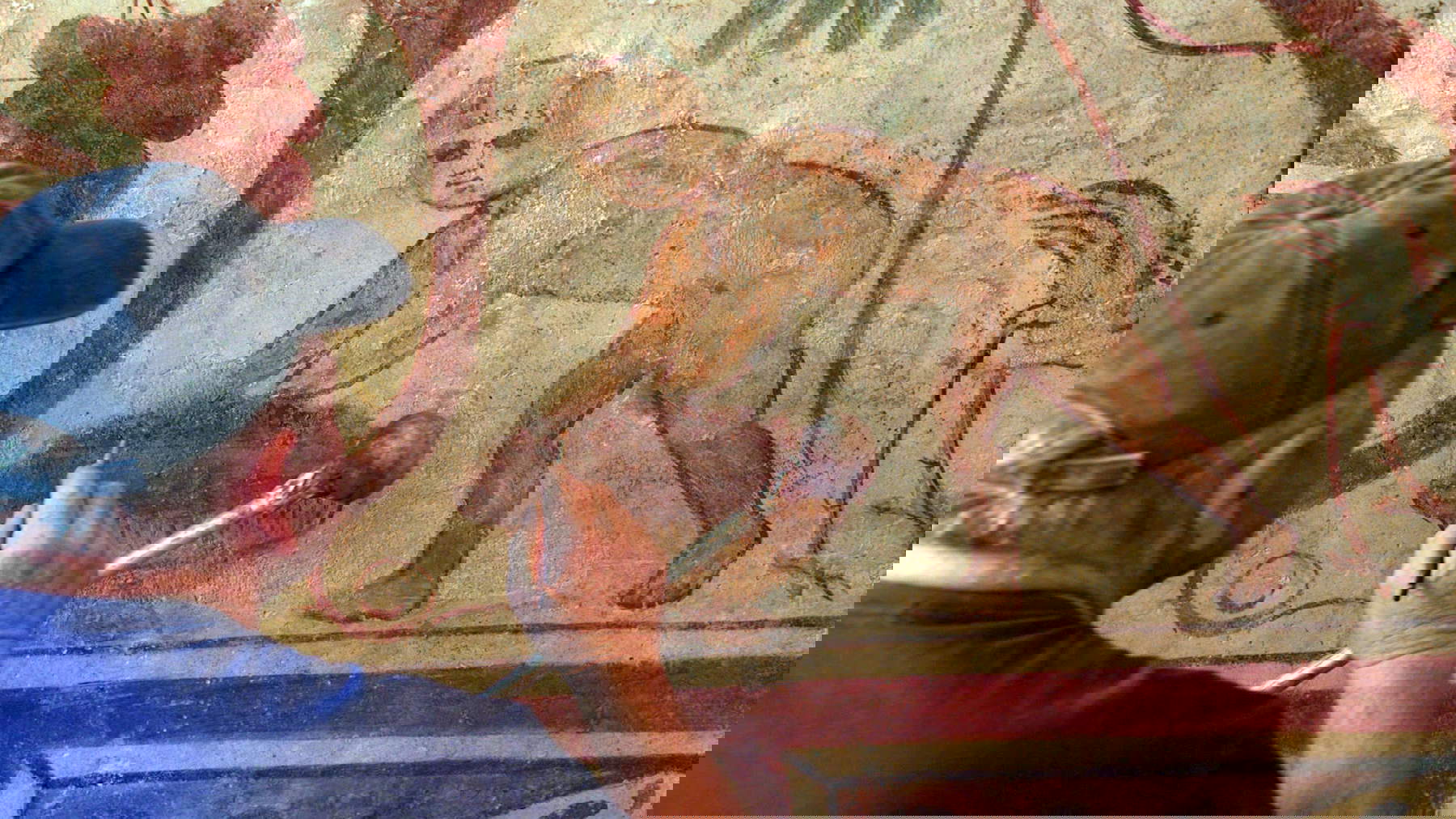 Conservation and restoration work