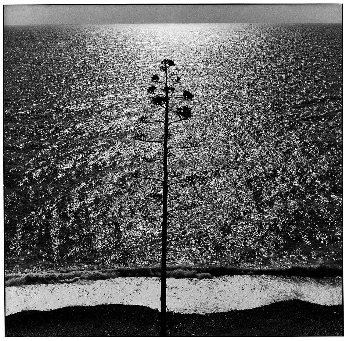 Ugo Mulas, Ossi di seppia, Monterosso, Ligurie, Italie, 1962. Photo : Eredi Ugo Mulas.  Tous droits réservés. Par concession de Archivio Ugo Mulas, Milan - Galleria Lia Rumma, Milan/Naples.