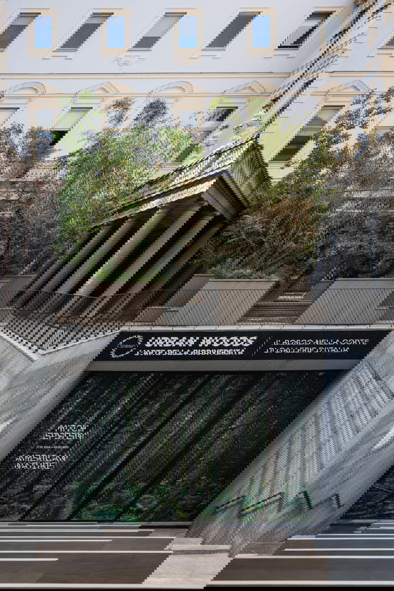 Urban Woods