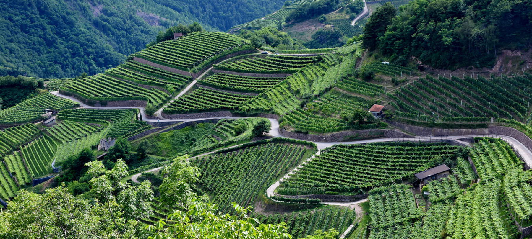 Val di Cembra, was zu sehen: 10 Orte zwischen Dörfern und Wäldern