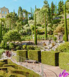 The labyrinth of Trauttmansdorff Castle: a green maze at the foot of the Alps