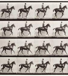 Al Museo Poldi Pezzoli una mostra sugli studi scientifici condotti nel primo '900 da tre fotografi 