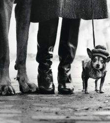 Pisa rend hommage au génie photographique d'Elliott Erwitt à travers 80 clichés du XXe siècle.