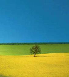 A Brescia una mostra raccoglie 122 opere di Franco Fontana, pioniere della fotografia a colori