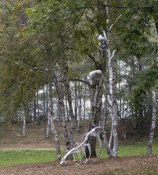 &ldquo;Masche&rdquo; tra gli alberi: in Piemonte la nuova opera di Giulia Cenci