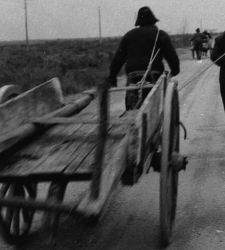 A Pordenone una mostra su Italo Zannier, fotografo che ottenne la prima cattedra di Storia della fotografia in Italia