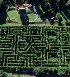 The Kr?nzelhof Labyrinth, a maze among the vineyards