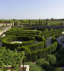 A labyrinth in the heart of Salento. Masseria Terre di Corillo
