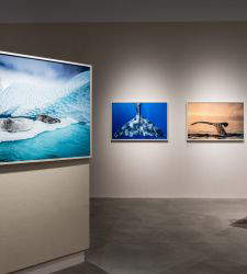 Alle Gallerie d'Italia di Torino la prima retrospettiva in Europa dedicata a Cristina Mittermeier