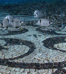  Cinco parques arqueológicos submarinos que descubrir en Italia