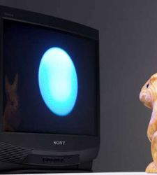 Un coniglio sulla luna. A Torino una mostra su Nam June Paik