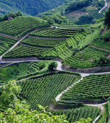Cembra Valley, what to see: 10 places among villages and forests