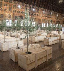 Padua, Palazzo della Ragione empfängt Ex It, die ortsspezifische Installation von Yoko Ono zum Thema Frieden