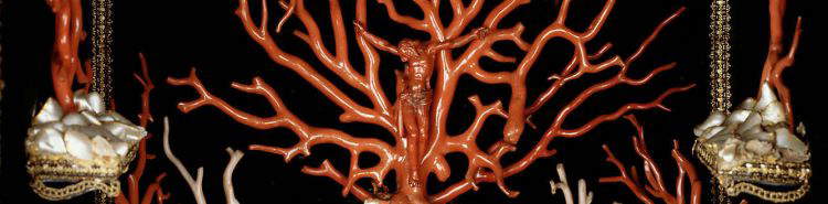 Fantastische Dinge und wo man sie findet: die faszinierende Welt der Wunderkammer