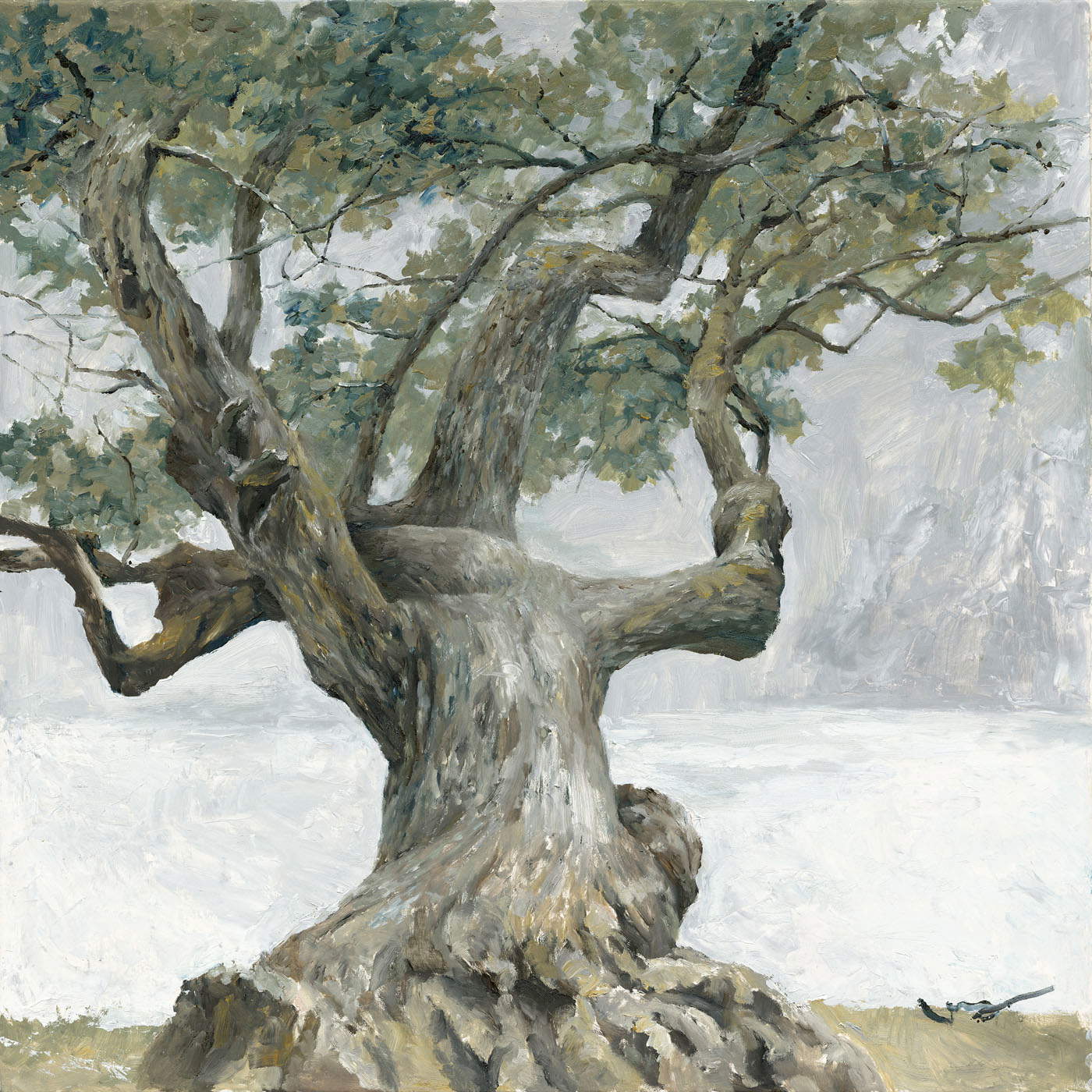 Cen Long, Vita (2023; olio su tela, 120 x 120 cm) Cen Long, Vita (2023; olio su tela, 120 x 120 cm)