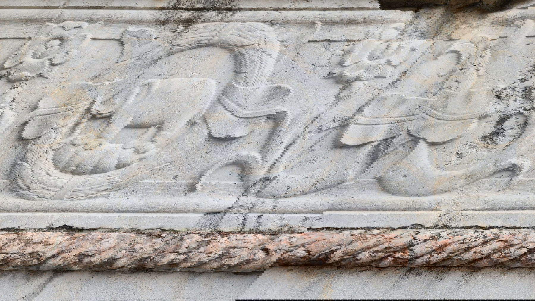 Malatesta elephant on the facade Malatesta elephant on the facade